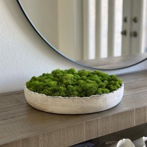 Decorative Moss Bowl Wood 14 in